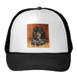 Hefner - Dachshund - Photo-7 Mesh Hats