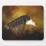 Hehewuti (Warrior Mother Spirit - Hopi) Mouse Mat