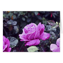 Heirloom Greeting Cards