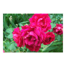 Heirloom Roses Stationary Personalized Stationery