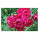 Heirloom Roses Stationary