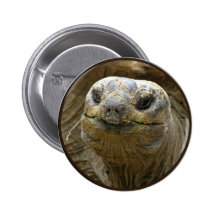 Helaine's Aldabra Tortoise Pinback Button