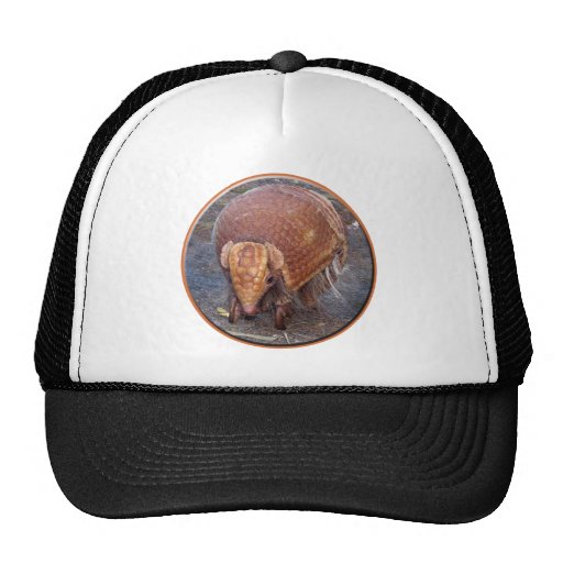 Helaine's Armadillo Mesh Hats