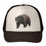 Helaine's Bear Hats