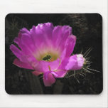 Helaine's Cactus Flower Mousepad