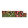 Helaine's Hummingbird 2 Bumper Sticker