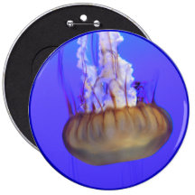 Helaine's Jelly Fish 4 Button