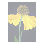 Helenium, Bressingham's Gold Custom Invitations