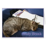 Helen's Study Break Cards