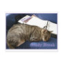 Helen's Study Break Postcards