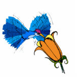 Helga Hummingbird Acrylic Cut Outs