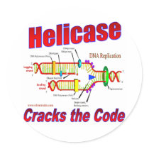 Helicase Cracks the Code Round Stickers