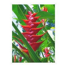 Heliconia hawaïen toiles tendues sur châssis