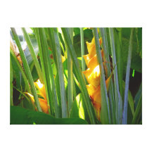 Heliconia hawaïen impressions sur toile