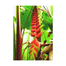 Heliconia hawaïen toile tendue sur châssis