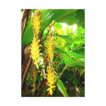 Heliconia hawaïen toiles tendues