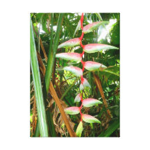 Heliconia hawaïen toiles tendues sur châssis