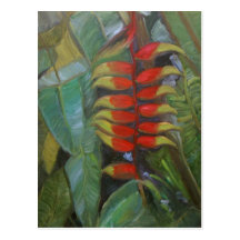 "Heliconia Trail Postcard"