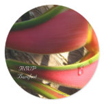 Heliconia Tropical Wedding Envelope Seals Round Stickers