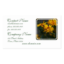 Heliopsis Business Cards