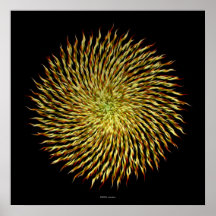 Helios Flower 1 (hi-res print)