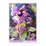 Heliotrope Fairy Postcards