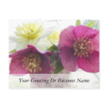 Hellebore and Daffodil Bouquet Post Card