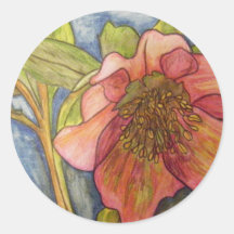 Hellebore VII Round Stickers