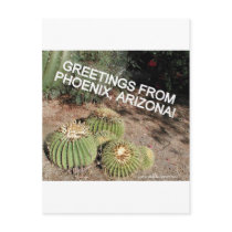 HELLO AND WELCOME TO PHOENIX ARIZONA POSTCARDS