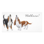 Hello Bassett Hound Photo Cards