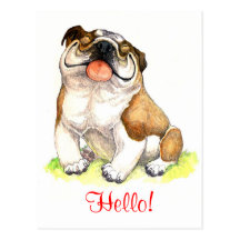 Hello Bulldog Puppy  Dog Greeting Postcard