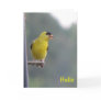 Hello Greeting Cards