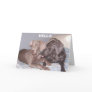 , HELLO! GREETING CARDS