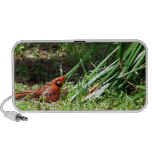 Hello Cardinal Laptop Speakers