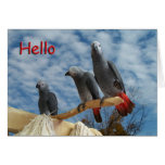 Hello Cards