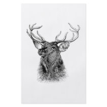 HELLO DEER