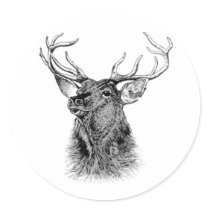 HELLO DEER