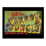 Hello from Parrot Jungle Post Card