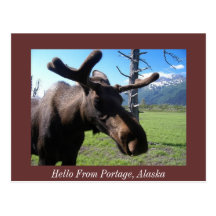 Hello From Portage, Alaska, Hello From Portage,... Postcard