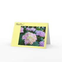 Hello! Greeting Cards Hope all is well You Family