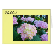 Hello! Greeting Cards Hope all is well You Family