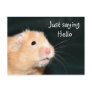 Hello hamster postcard