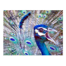 Hello/Happy Birthday/Any Occasion_ Postcard