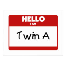 Hello I Am Twin A Post Card