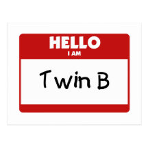 Hello I Am Twin B Postcard