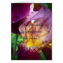 Hello Iris Greeting Card