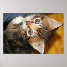 Hello Poster