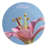 HELLO! Stickers Pink Calla Lily Flower Stickers