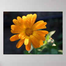 Hello Sunshine Print