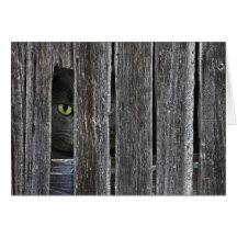 Hello There... Greeting Card
